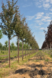 Similar image 1023295