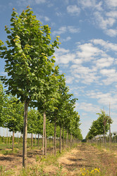 Similar image 1023296