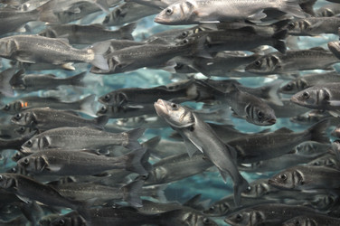 Similar image 1023309