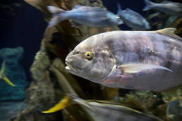 Similar image 1023315