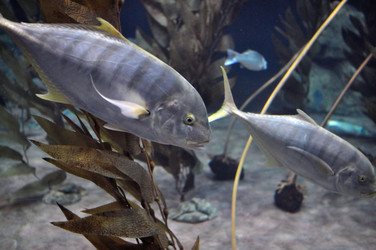 Similar image 1023319