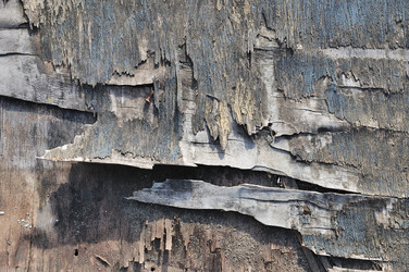 Similar image 1023321