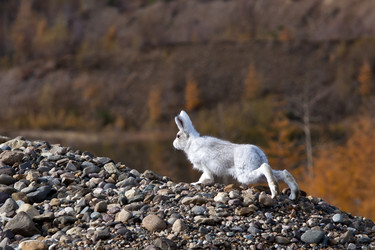 Similar image 1023324