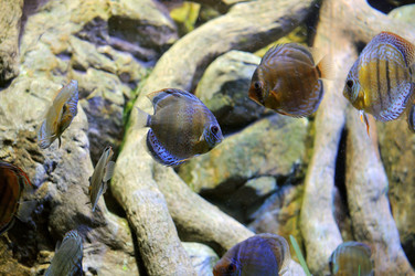 Similar image 1023325