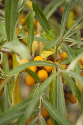 Similar image 1023332