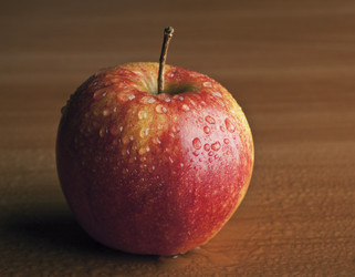 Similar image 1023333