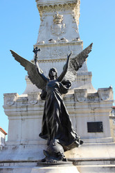 Similar image 1023335