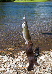 Similar image 1023340