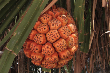 Similar image 1023343