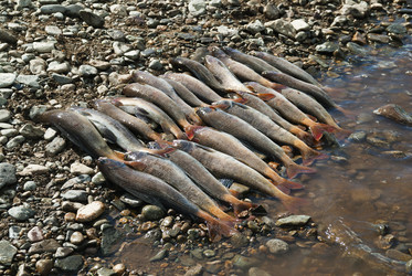 Similar image 1023345