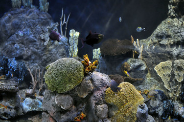 Similar image 1023434