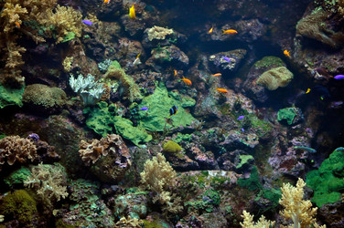 Similar image 1023438