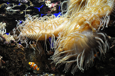 Similar image 1023442