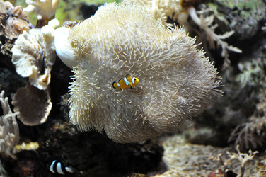 Similar image 1023450