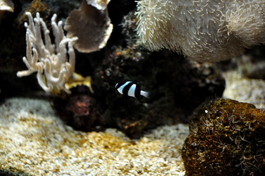 Similar image 1023452