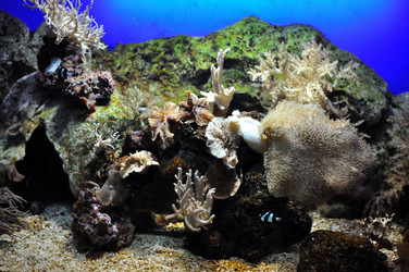 Similar image 1023453