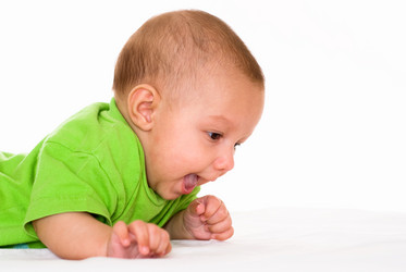 Similar image 1023555