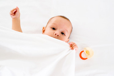 Similar image 1023645