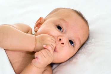 Similar image 1023680