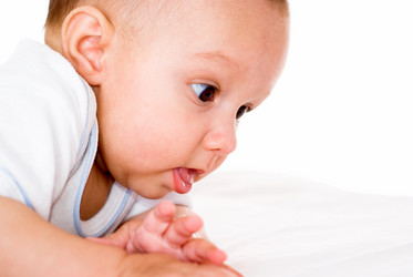 Similar image 1023702