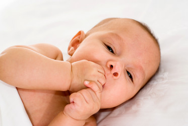 Similar image 1023705