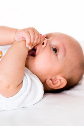 Similar image 1023706