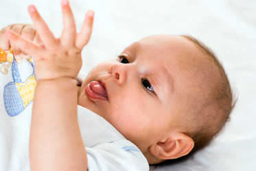 Similar image 1023709