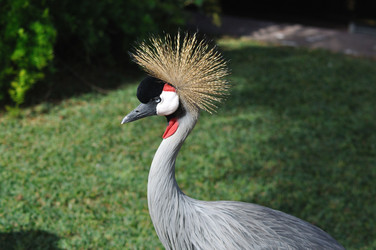 Similar image 1023742