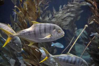 Similar image 1023743