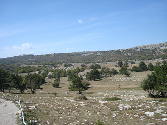 Similar image 1023759