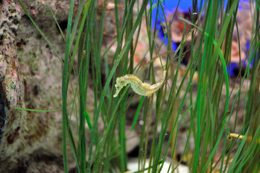 Similar image 1023777