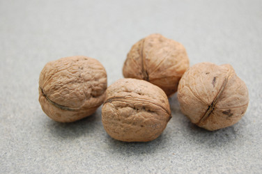 Similar image 1023822