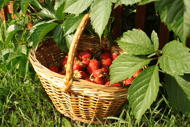 Similar image 1023860