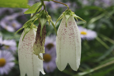 Similar image 1023861