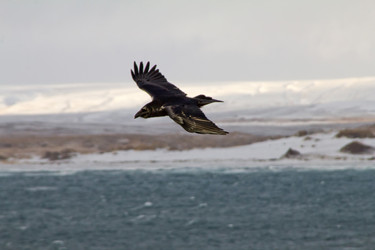 Similar image 1023864