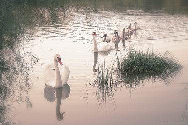 Similar image 1023865