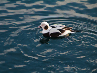 Similar image 1023867