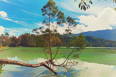 Similar image 1023874