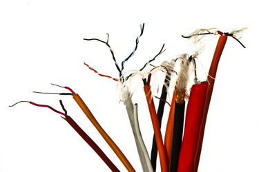 Similar image 1023882