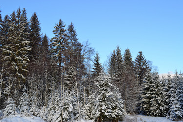 Similar image 1023893