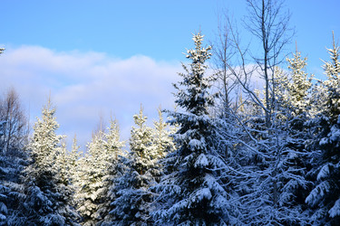 Similar image 1023894