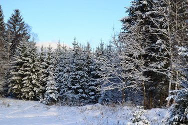 Similar image 1023895