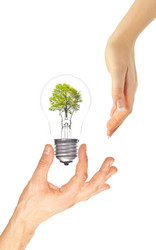 Similar image 1023900