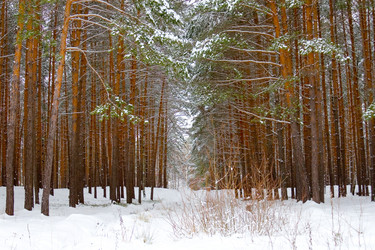 Similar image 1023978