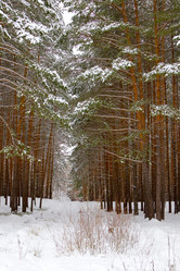 Similar image 1023980