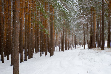 Similar image 1023983