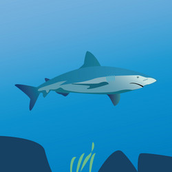 Similar image 1023996