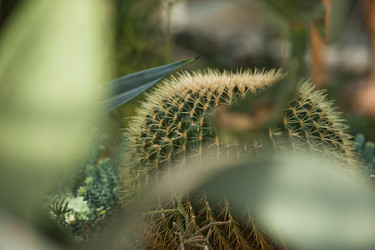 Similar image 1024015