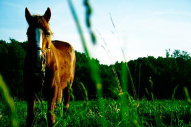 Similar image 1024055