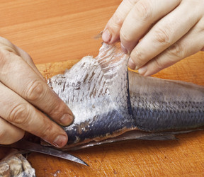 Similar image 1024122